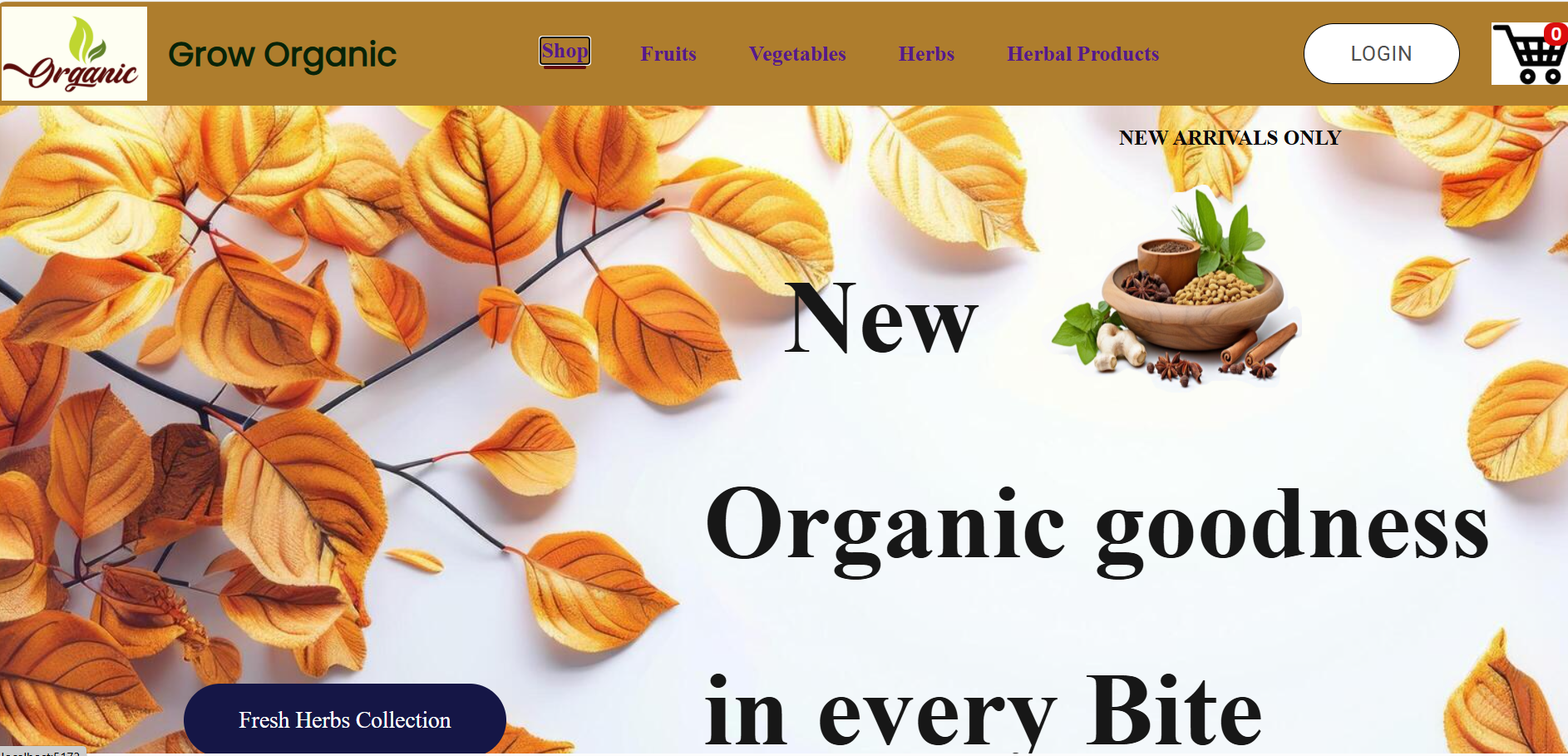 E-Commerece Website